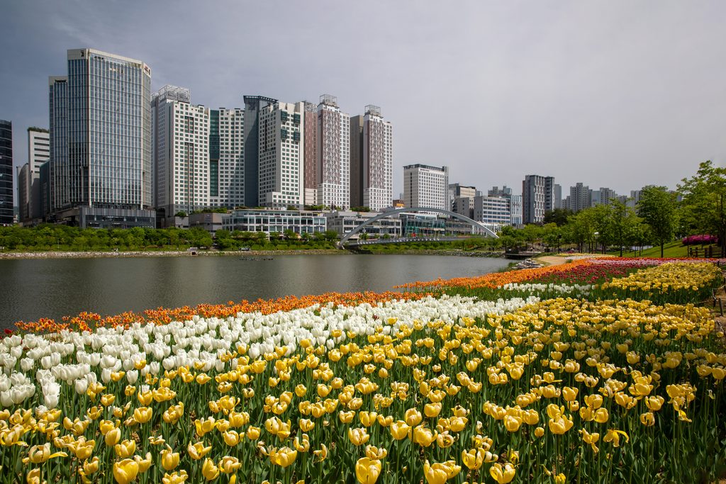 South Korean cityscape and park